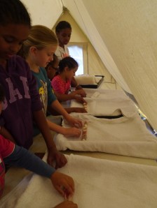 Eel rollers en-masse