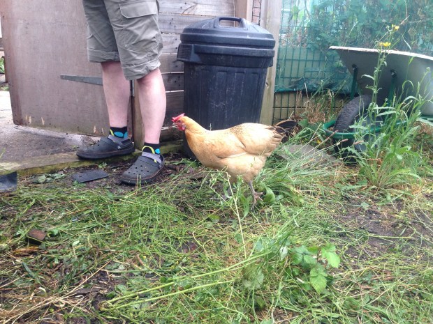 Sarah's first day: she doesn't know whether Simon's legs or the open door are more tempting  